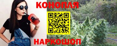 сатива Пушкино