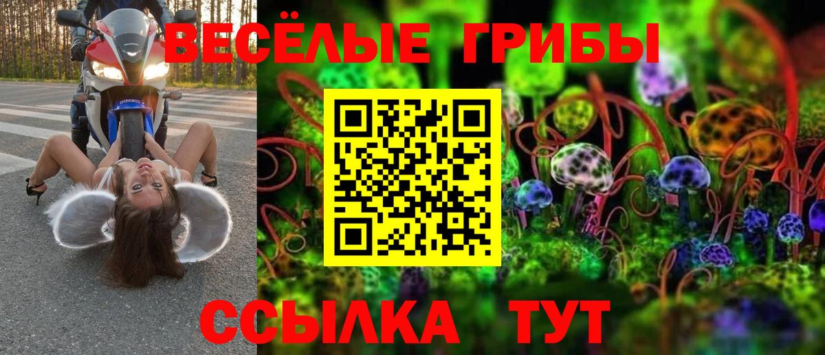 Тара  Псилоцибиновые грибы Cubensis  Вход с VPN  Галлюциногенные грибы MAGIC MUSHROOMS 